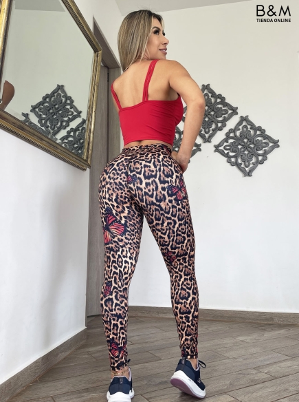 Outfit Radiant 964